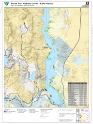 A detailed map of the southern portion of Lake Havasu, Arizona, managed by the BLM Colorado River District Lake Havasu Field Office. Twenty-three numbered fish habitat coves are marked with red markers along the lake shoreline, ranging from Steamboat (21) in the north to Bill Williams Island (43) in the south. An inset locator map in the lower right shows the map area in regional context. State Route 95 runs along the eastern shore. The Arizona-California state boundary is shown to the west.