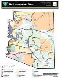 Map of Arizona showing wild horse and burro herd management areas (HMA). Burro HMAs are marked in blue. Horse areas are marked in orange. Horse and burro areas are marked in green.