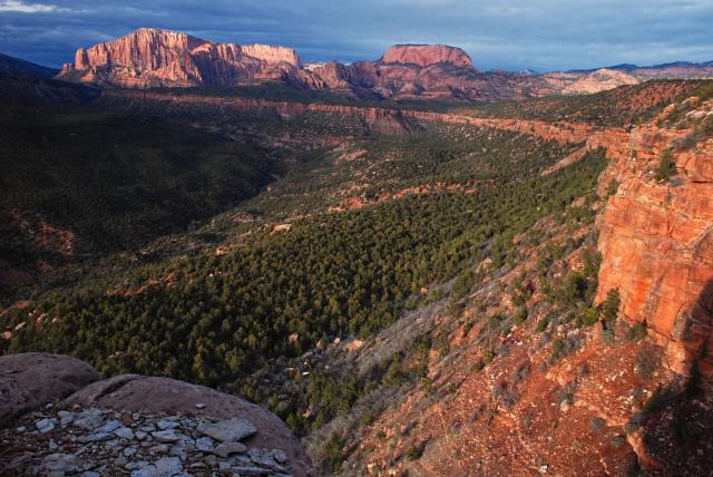 Red canyon walls and buttes tower over a shrubby valley
