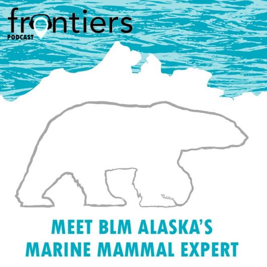 Alaska frontiers podcast meet BLM's marine mammal expert episode artwork