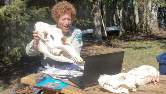 Campbell Creek Science Center Instructor teaching a virtual Alaska Animal Program via his laptop and Zoom