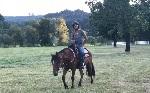 Girl riding horse in grassy field. 