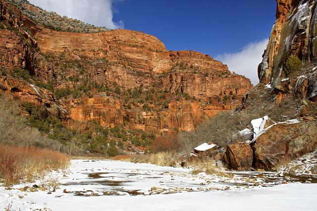 dolores river with large cliffs in background