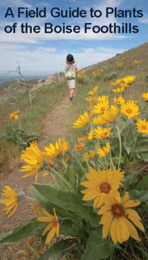 A Field Guide to Plants of the Boise Foothills cover