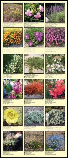 Firewise Landscaping for Southern Idaho Brochure