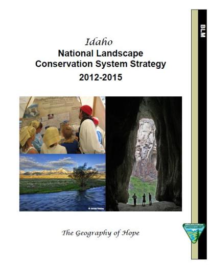 Idaho State Stepdown Strategy Cover