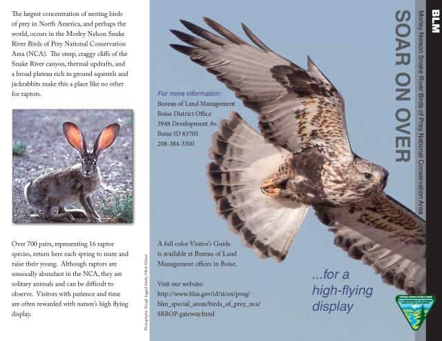 Morley Nelson Snake River Birds of Prey (Brochure Cover)