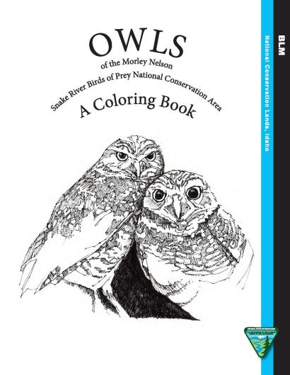 Owl Coloring Book Cover