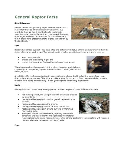 Learn About Raptors of the Morley Nelson Birds of Prey Area Fact Sheet