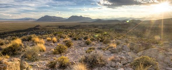 Nevada Basin and Range National Monument