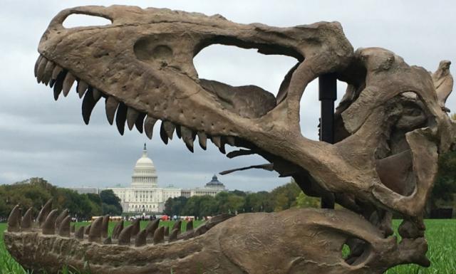 A Teratophoneus skull visits the National Mall near the United States Capitol building