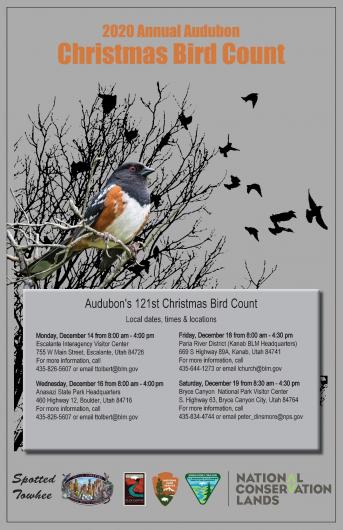 Audubon CBC poster