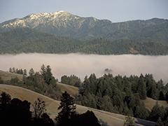 King peak, King Range NCA