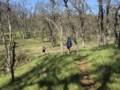 Two hikers on a green trail. Photo by Josh Hammari, BLM.