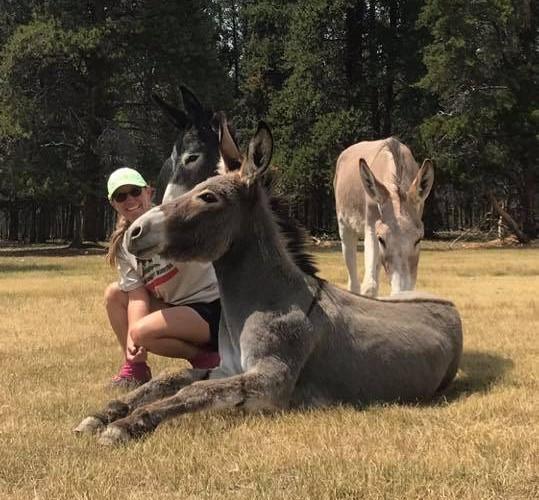 Karin Usko and burro Margarita in pasture