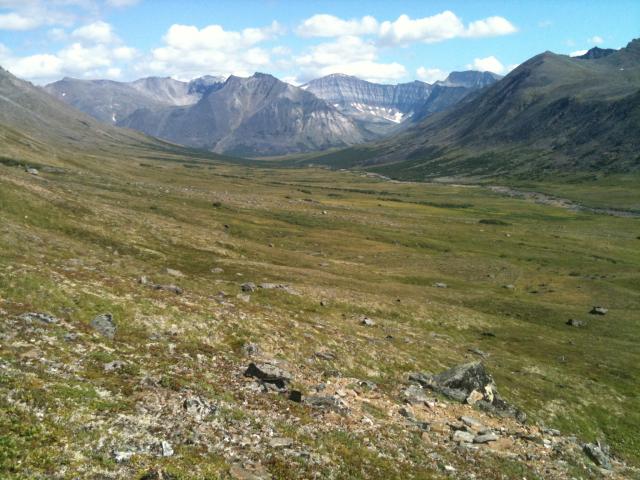 Grassy area with mountains in background