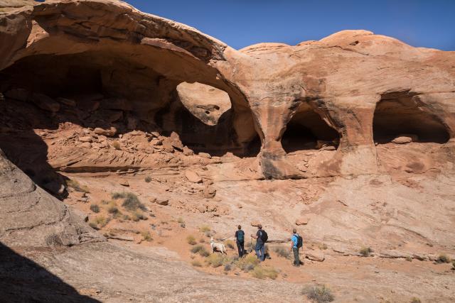 Three hikers and a dog appear small as they look up at a large multi-hole arch.