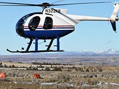 helicopter delivering bighorn sheep to ground crew