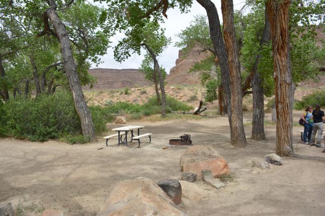 Swasey Beach Campground with a table, fire ring and large trees in the frame. A person is standing on the side/