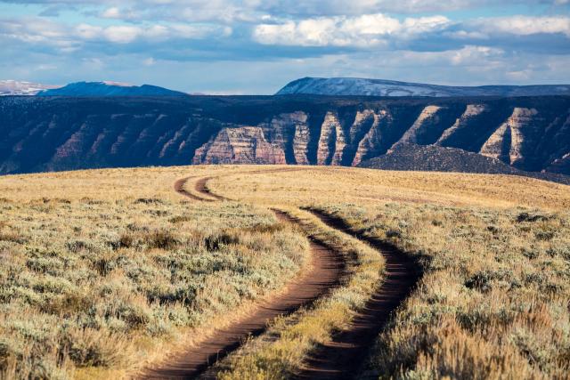 A two track road cutting through the brush in John Wesley Powell National Conservation Area managed by the Vernal Field Office.