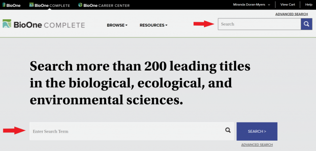 Screenshot of BioOne homepage with an arrow pointing towards the basic search bar in the middle of the homepage.