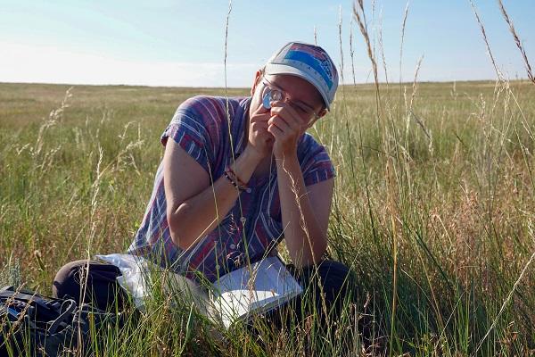 Botany Technician and Kainai First nations member Monroe Fox keying a grass to determine its scientific name. 