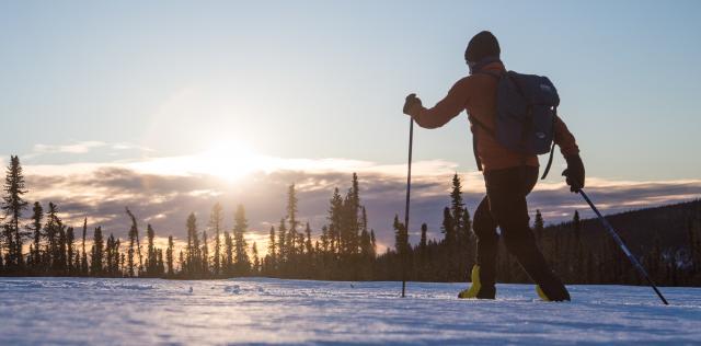 Skier in snow