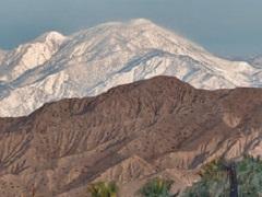 Snowy mountain in the background with a bare desert mountain in the midground. Palm trees in the foreground. Photo by Bob Wick, BLM. 