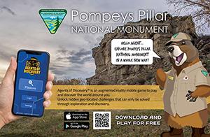 Agents of Discovery at Pompeys Pillar poster