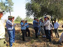 The BLM Central California Resource Advisory Council out in a field talking. 