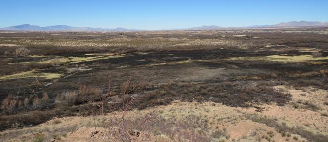 an area of blackened land after a prescribed fire