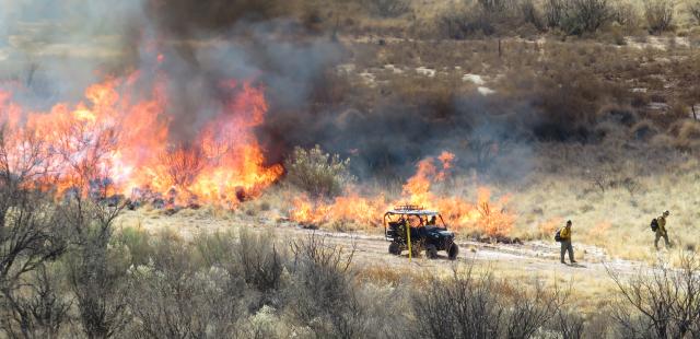 a fire burns through vegetation as firefighters look on