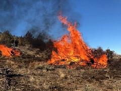 Pile burn in the high desert. Photo by the BLM.