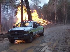 A pick-up truck drives near a prescribed burn in the forest.
