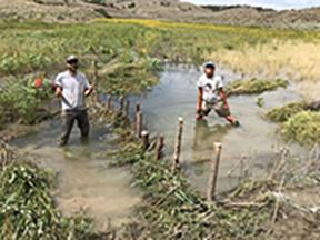 MCC Volunteers work to restore a creek