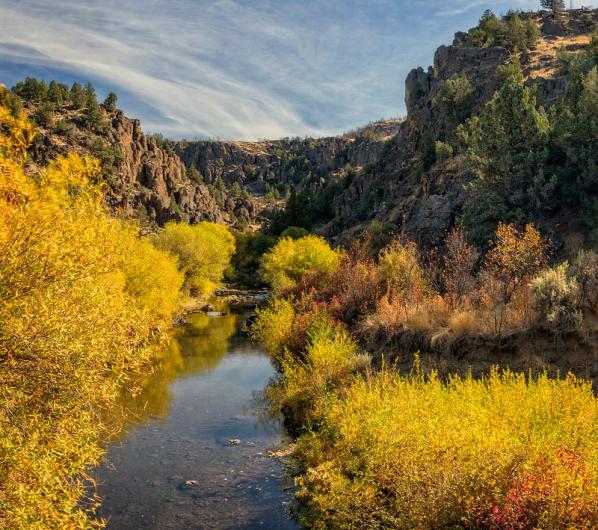 Fall colors surround a scenic canyon and creek