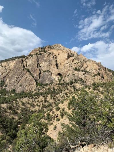 view of mountain bike trail 