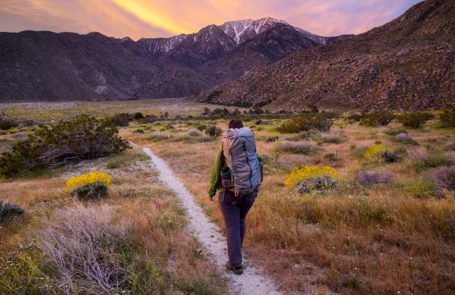 Woman hikes on trail with flowers surrounding and sunset and mountains in background