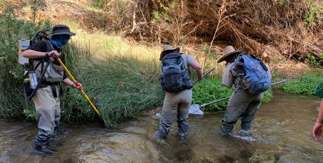 three people stand in a creek with nets