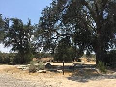 Campground with oaks. Photo by Alexia Williams, BLM.