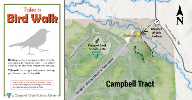 CCSC-Bird-pop-walk-map-and-photo_4.jpg