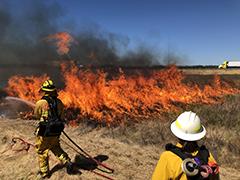 Fire fighters monitoring a controlled burn.