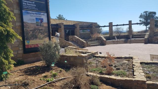 plants and small shrubs in a small terraced garden box with canyons of the ancients visitor center in the background