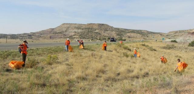 people wearing orange safety vests stand along the side of a road in grass holding trash bags