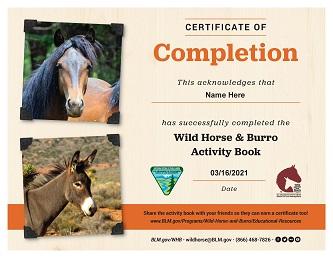 A certificate of completion with an image of a horse and an image of a burro. 