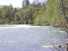 River winds through forest. Photo by the BLM.