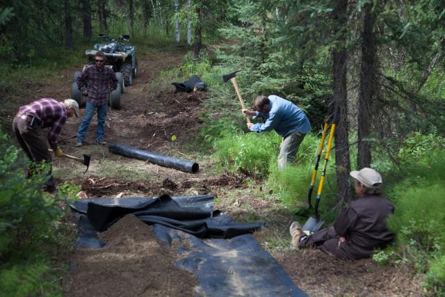 People digging in woods