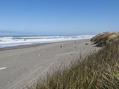 Beach and grassy dunes.