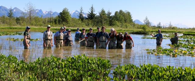 Group shot of Stewards standing in a pond filled with lily pads and tall grasses.