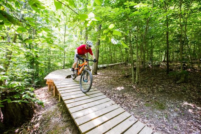 Mountain biker travels down path through forested area